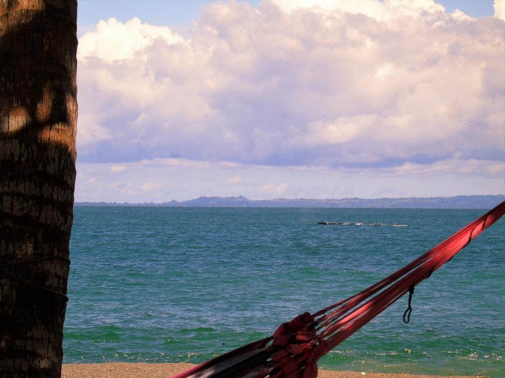 לינה וארוחת בוקר Puerto Jiménez Punta Preciosa מראה חיצוני תמונה