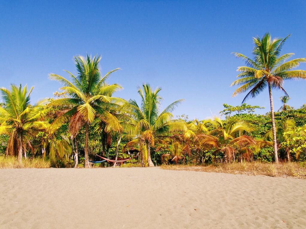 לינה וארוחת בוקר Puerto Jiménez Punta Preciosa מראה חיצוני תמונה