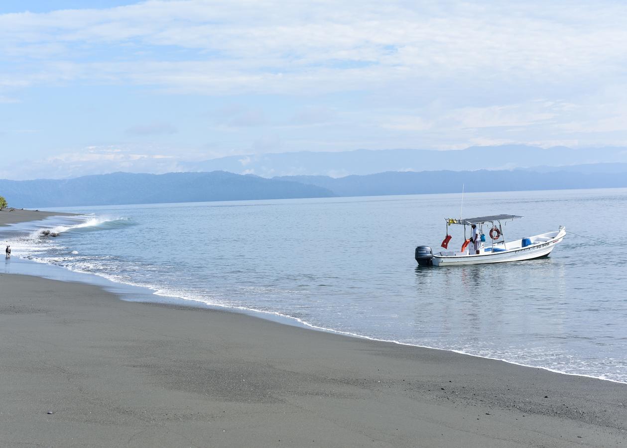 לינה וארוחת בוקר Puerto Jiménez Punta Preciosa מראה חיצוני תמונה