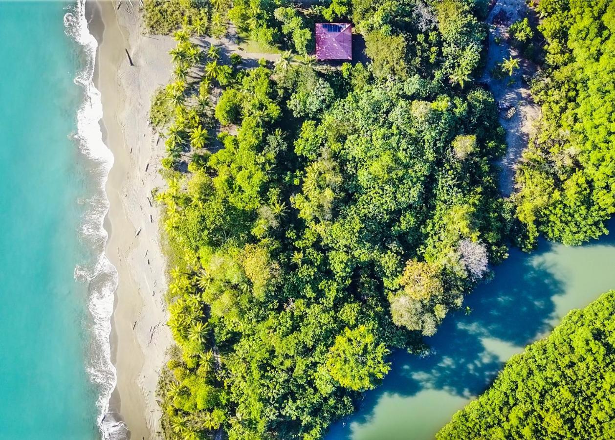 לינה וארוחת בוקר Puerto Jiménez Punta Preciosa מראה חיצוני תמונה